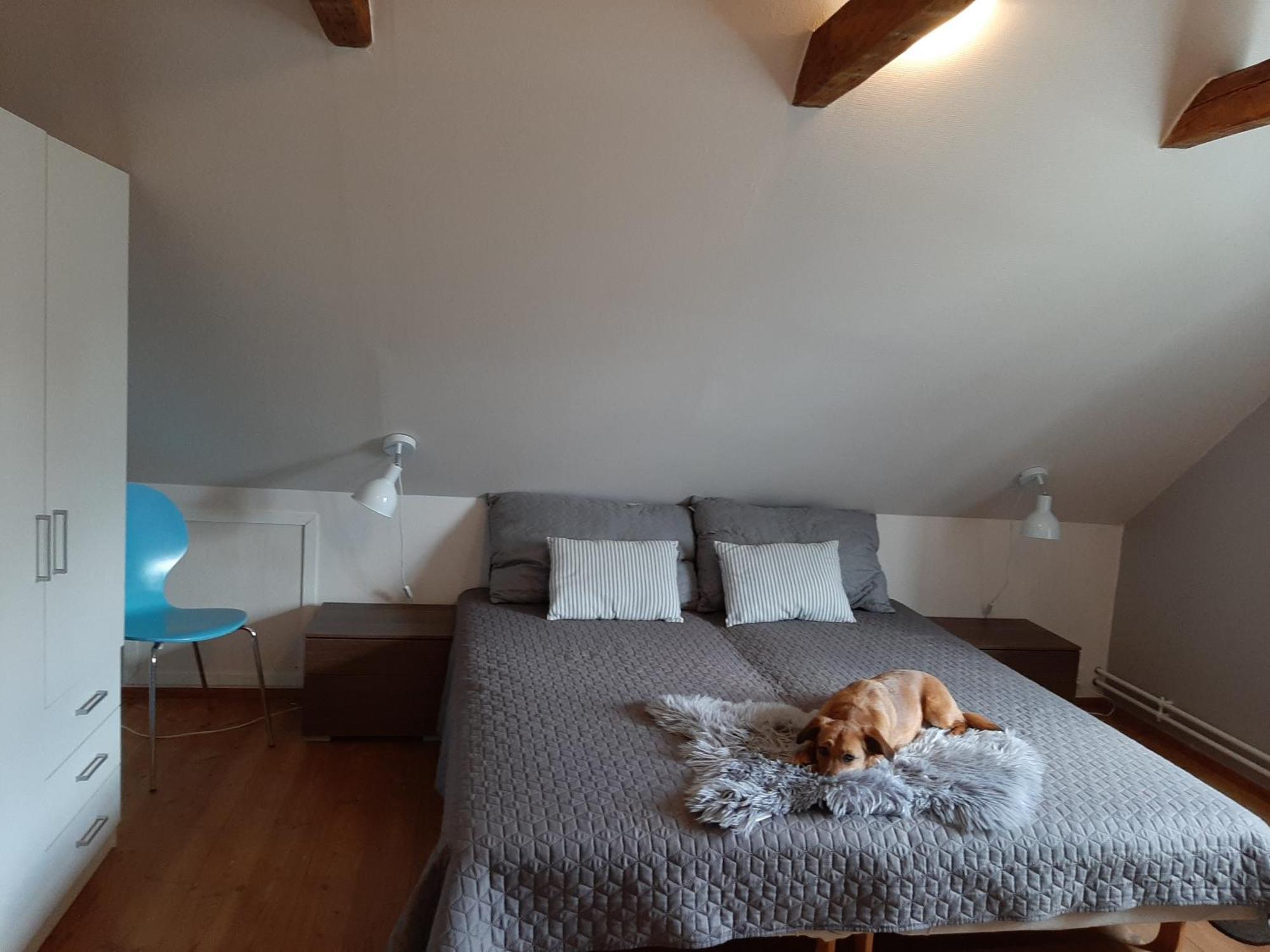 Stor Villa I Lendemarke Stege Zewnętrze zdjęcie