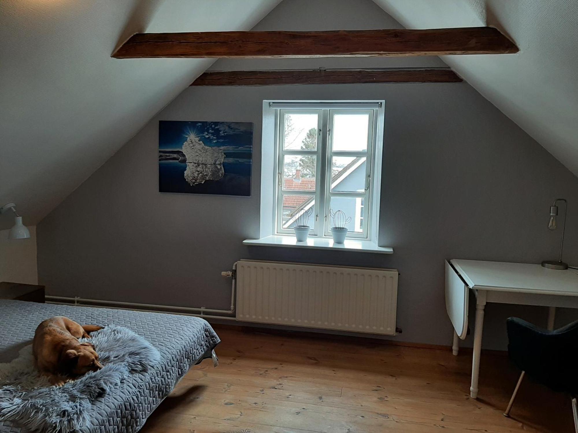 Stor Villa I Lendemarke Stege Zewnętrze zdjęcie